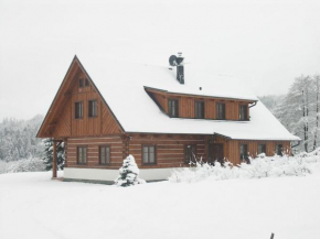 Spacious Holiday Home in Dlouh with Sauna